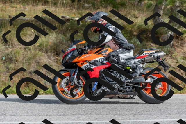 202511021257-DSC_9245_c4_