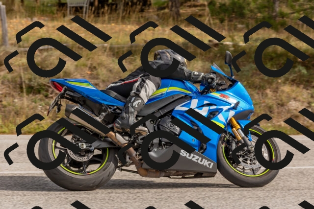 202511021259-DSC_9273_c4_