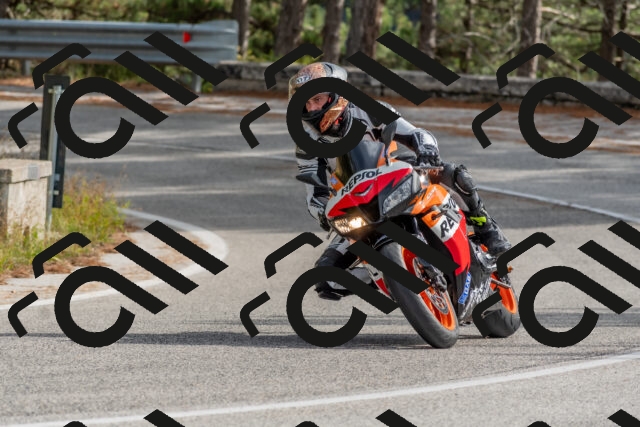 202511021259-DSC_9274_c4_