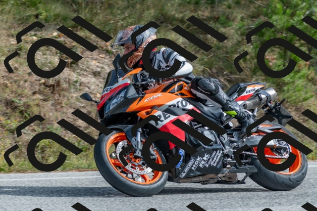 202511021259-DSC_9275_c4_