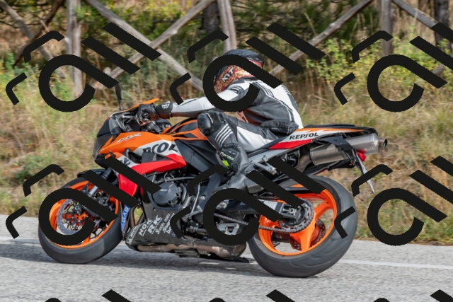 202511021259-DSC_9276_c4_