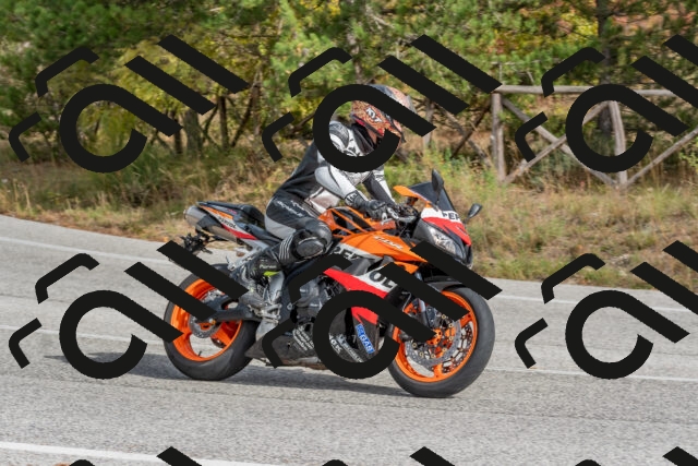 202511021259-DSC_9278_c4_