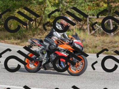 202511021259-DSC_9278_c4_