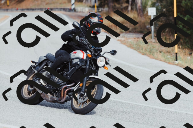 202511021504-_04A3933_c3