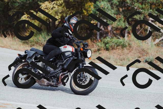 202511021504-_04A3934_c3