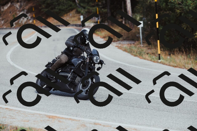 202511021504-_04A3935_c3