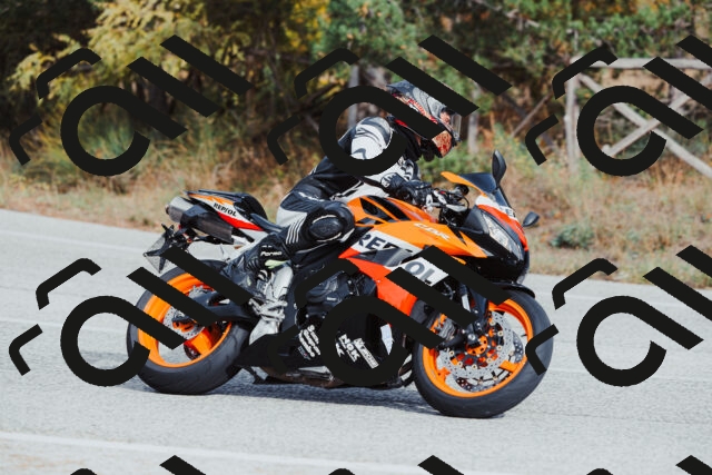 202511021504-_04A3937_c3