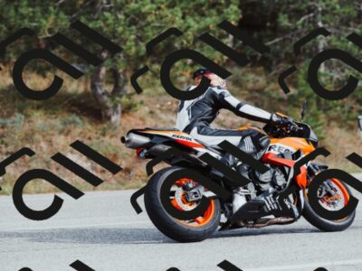 202511021504-_04A3939_c3