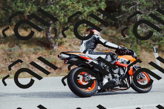 202511021504-_04A3939_c3