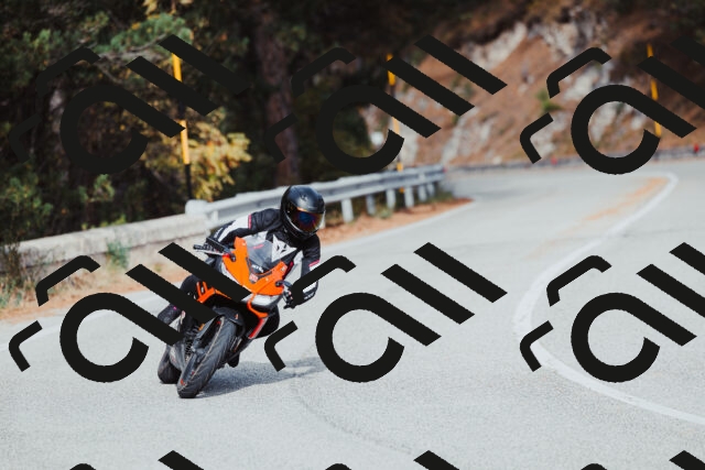 202511021504-_04A3940_c3