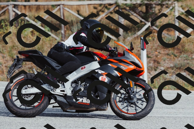 202511021504-_04A3942_c3