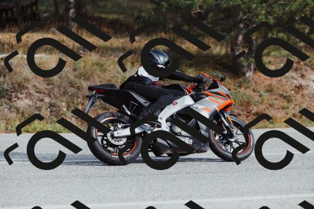 202511021504-_04A3943_c3