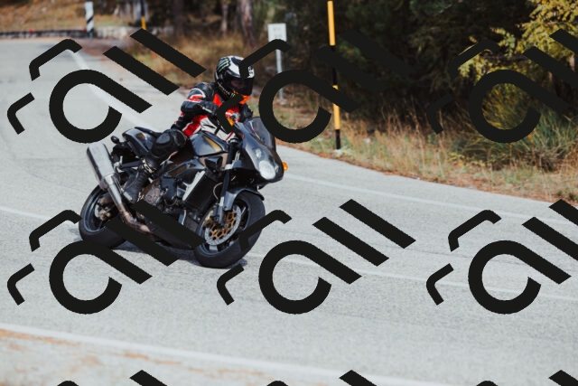 202511021504-_04A3945_c3