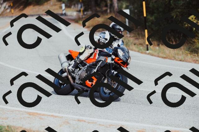 202511021504-_04A3946_c3