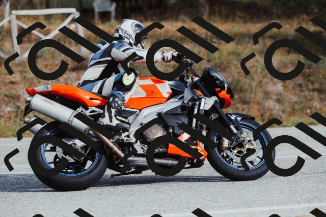 202511021504-_04A3948_c3