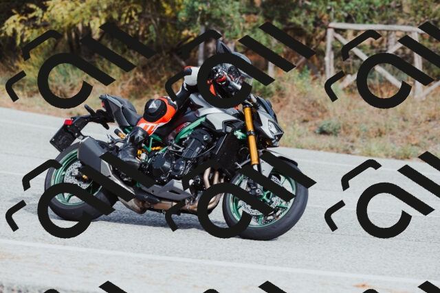 202511021509-_04A3951_c3