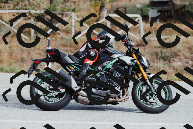 202511021509-_04A3952_c3