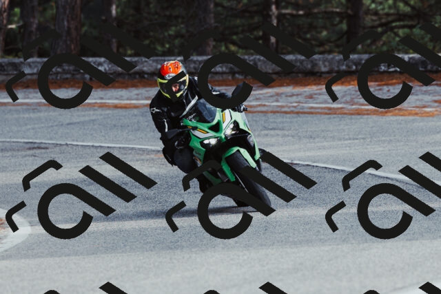 202511021512-_04A3954_c3