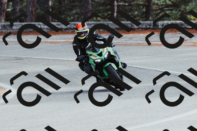 202511021512-_04A3955_c3