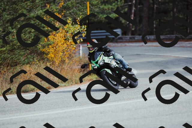 202511021512-_04A3956_c3