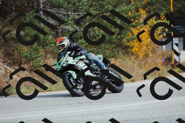 202511021512-_04A3957_c3