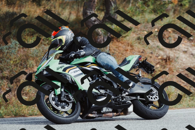 202511021512-_04A3958_c3