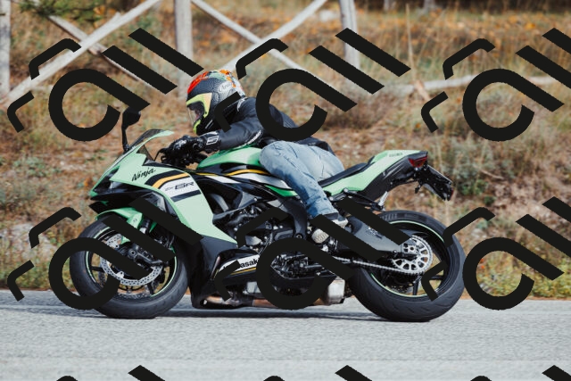 202511021512-_04A3959_c3