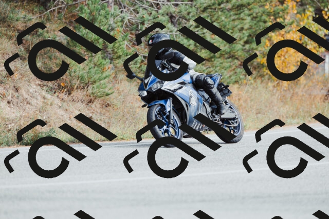 202511021512-_04A3961_c3