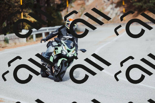 202511021512-_04A3963_c3