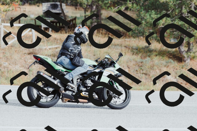 202511021512-_04A3966_c3