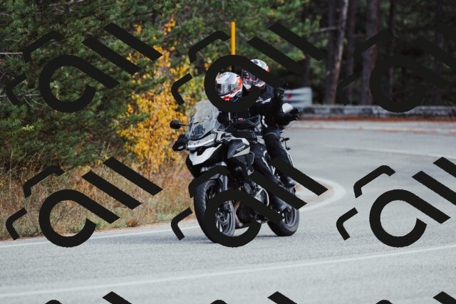 202511021518-_04A3969_c3