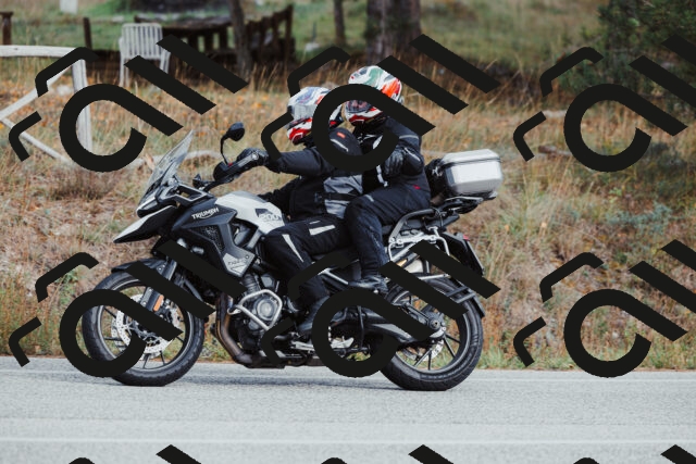 202511021518-_04A3971_c3