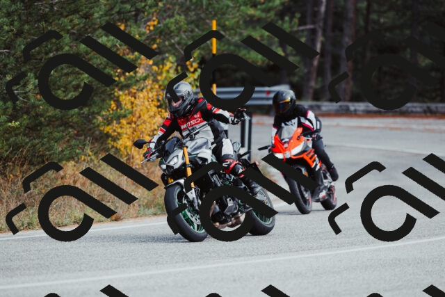 202511021521-_04A3975_c3