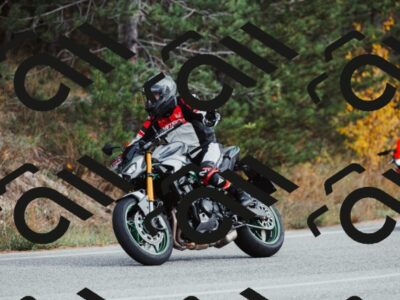 202511021521-_04A3976_c3