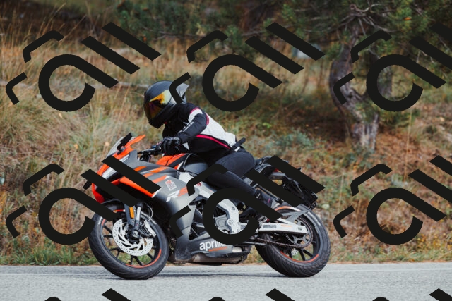 202511021521-_04A3977_c3