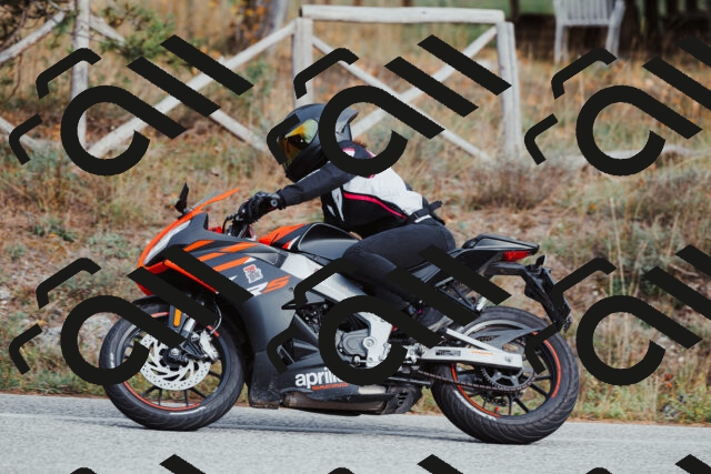 202511021521-_04A3978_c3