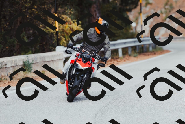 202511021522-_04A3979_c3