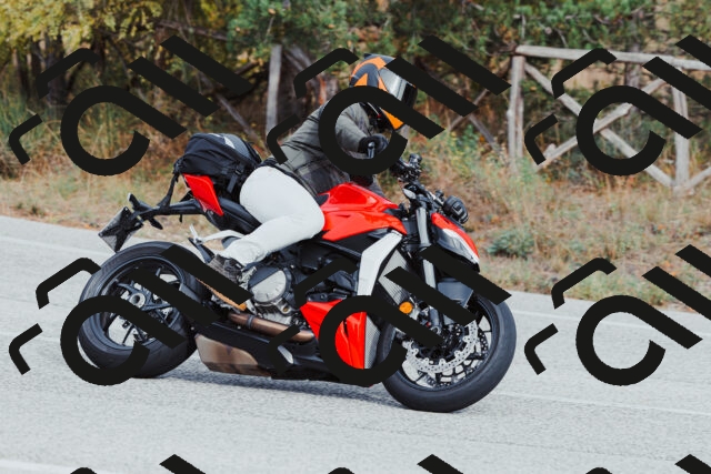 202511021522-_04A3980_c3