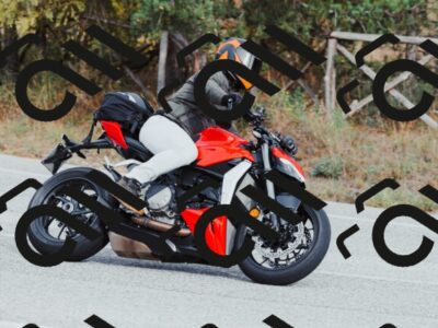 202511021522-_04A3980_c3