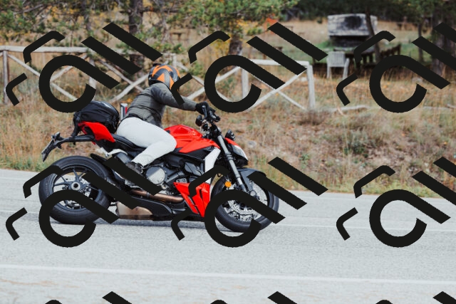 202511021522-_04A3981_c3