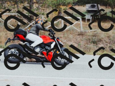 202511021522-_04A3981_c3