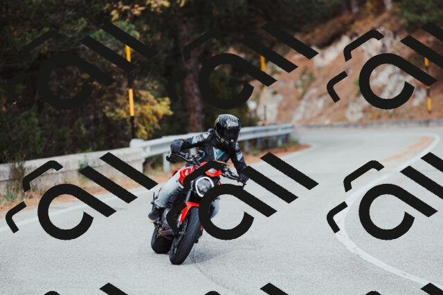 202511021522-_04A3982_c3