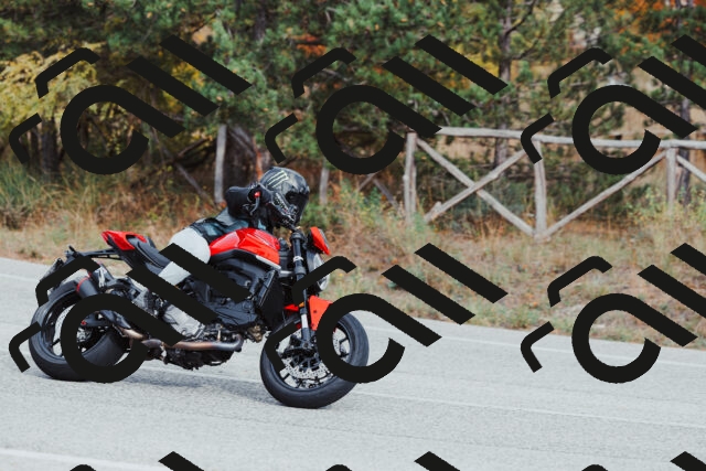 202511021522-_04A3983_c3