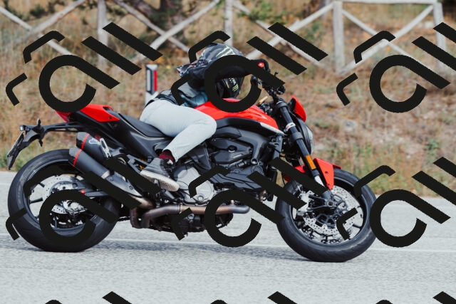 202511021522-_04A3984_c3