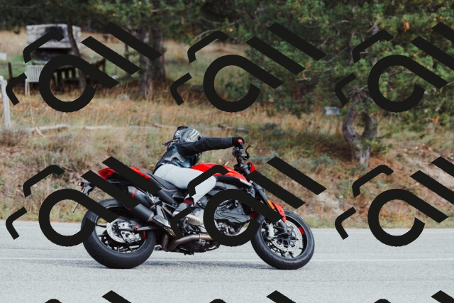 202511021522-_04A3985_c3