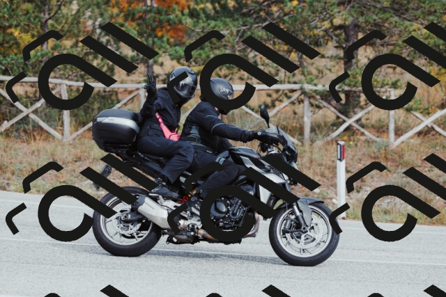 202511021524-_04A3987_c3