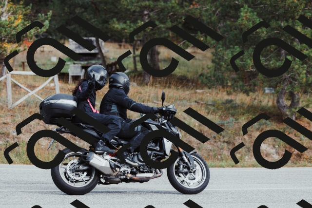 202511021524-_04A3988_c3