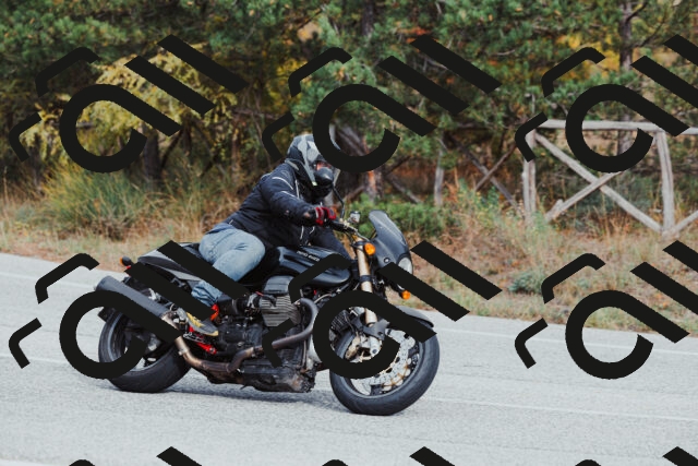 202511021525-_04A3990_c3