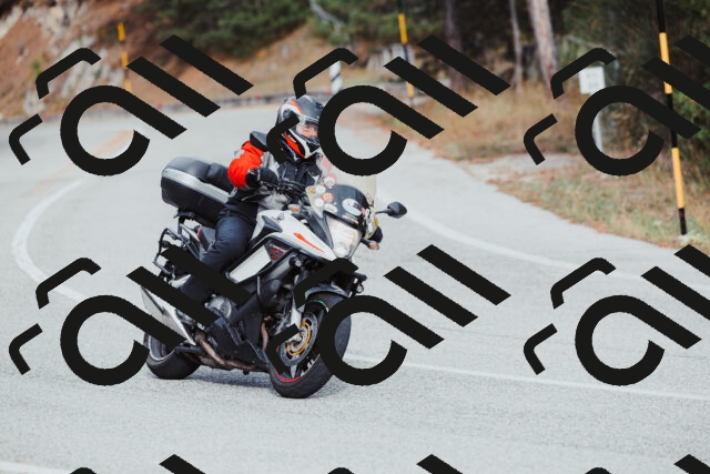 202511021525-_04A3991_c3