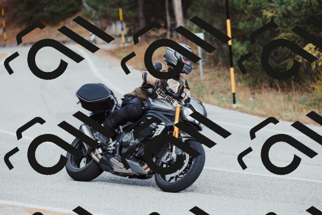 202511021526-_04A3997_c3